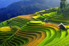 48 giờ nghỉ dưỡng giữa mùa vàng Mù Cang Chải