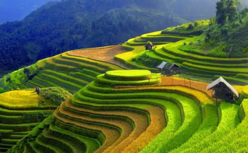 48 giờ nghỉ dưỡng giữa mùa vàng Mù Cang Chải