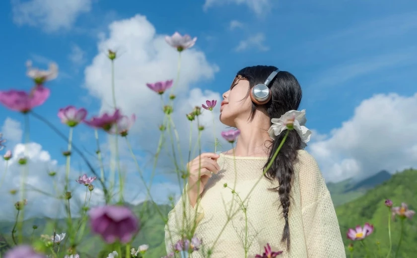 TA XUAバタフライガーデン「妖精のように」若者を引き付ける