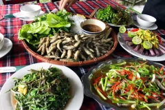 Cá linh – loài thủy sản độc đáo châu thổ Mekong