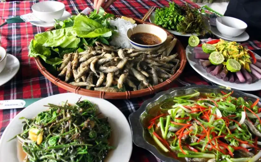 Cá linh – loài thủy sản độc đáo châu thổ Mekong