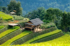 Những căn ‘penthouse’ ở Mù Cang Chải