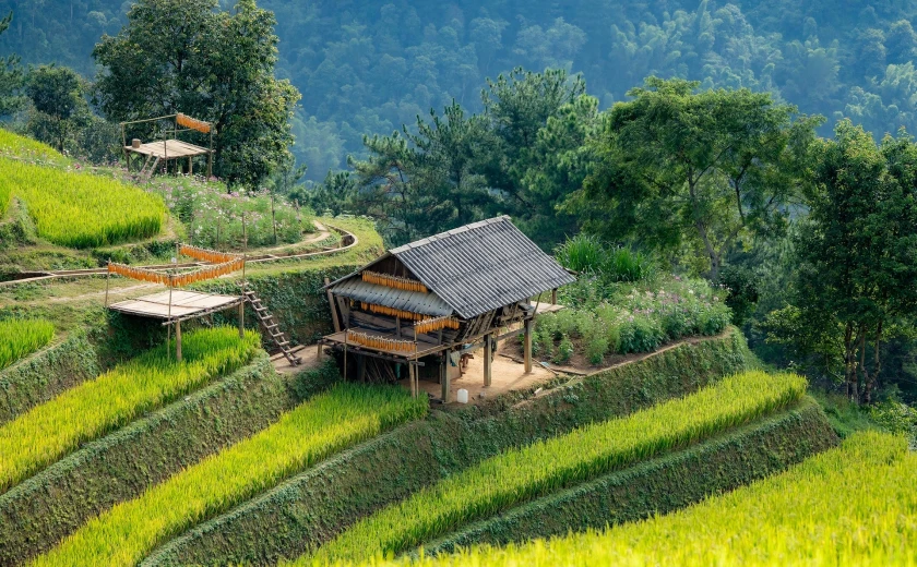 Những căn ‘penthouse’ ở Mù Cang Chải