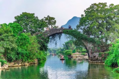 4 thành phố Trung Quốc du khách có thể vi vu ngay mà không cần visa