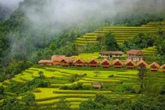 Ngắm thu vàng – Top 4 địa điểm khám phá thiên nhiên tuyệt đẹp