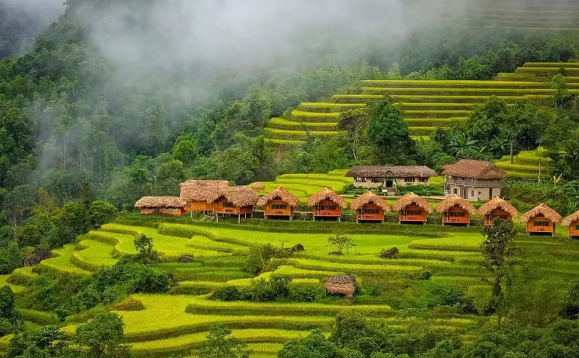 Ngắm thu vàng – Top 4 địa điểm khám phá thiên nhiên tuyệt đẹp