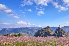 Những địa điểm du lịch hấp dẫn hòa mình vào không khí mùa Đông miền Bắc