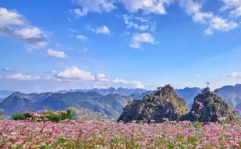 Những địa điểm du lịch hấp dẫn hòa mình vào không khí mùa Đông miền Bắc
