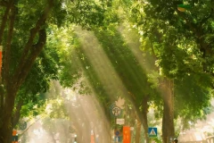 Mùa thu Hà Nội – Bản giao hưởng của ký ức và hiện tại