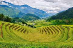 Khám phá các ruộng bậc thang vào mùa lúa chín đẹp nhất Lào Cai