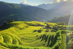 Ngắm những thửa ruộng bậc thang tuyệt đẹp ở Hoàng Su Phì