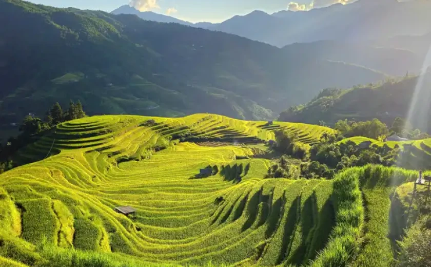 Ngắm những thửa ruộng bậc thang tuyệt đẹp ở Hoàng Su Phì