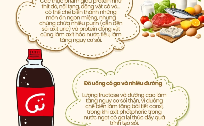 4 loại thực phẩm quen mặt nhưng âm thầm làm tăng nguy cơ sỏi thận – bạn có đang ăn hằng ngày?