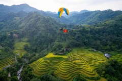 Bay dù lượn ngắm ruộng bậc thang mùa lúa chín tại Thông Nguyên, Tuyên Quang
