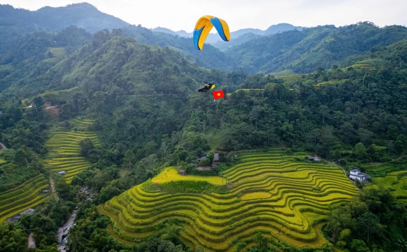 Bay dù lượn ngắm ruộng bậc thang mùa lúa chín tại Thông Nguyên, Tuyên Quang