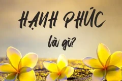 Hạnh phúc quanh ta