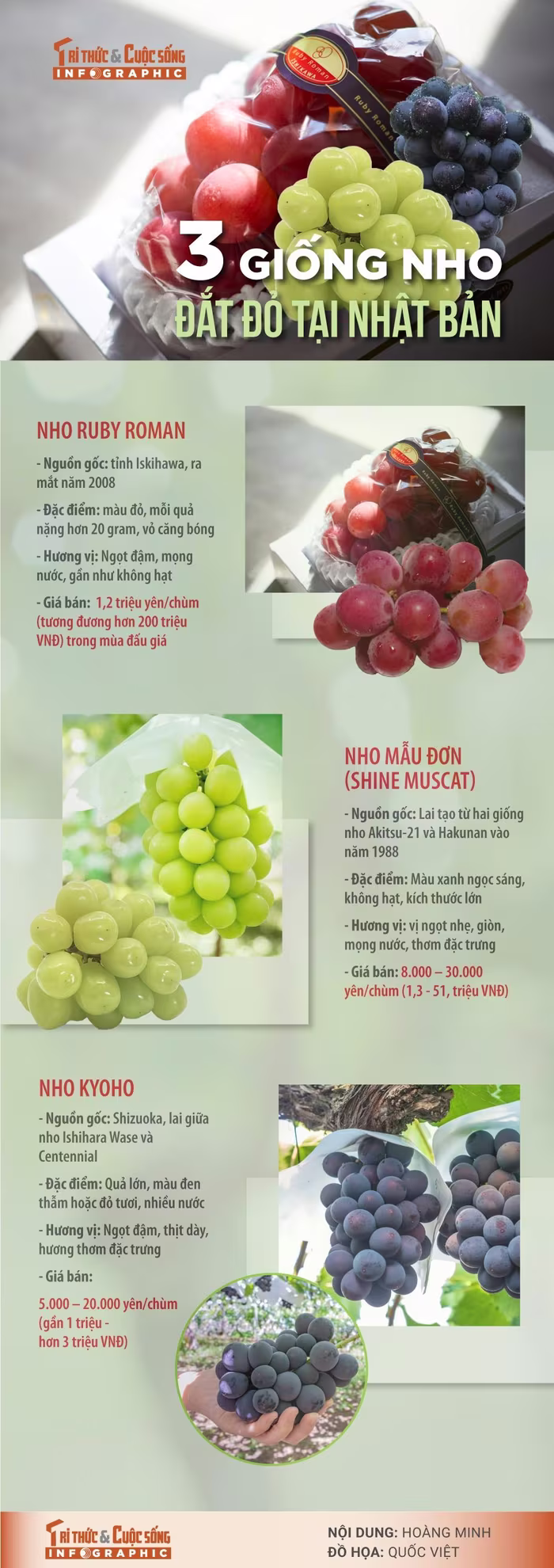 3 giống nho đắt đỏ tại Nhật Bản