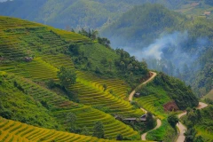 Tây Bắc rực rỡ mùa vàng