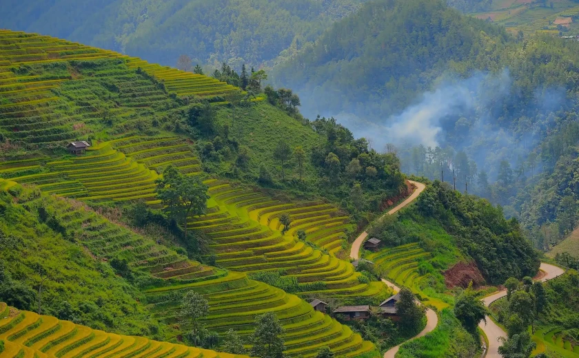 Tây Bắc rực rỡ mùa vàng