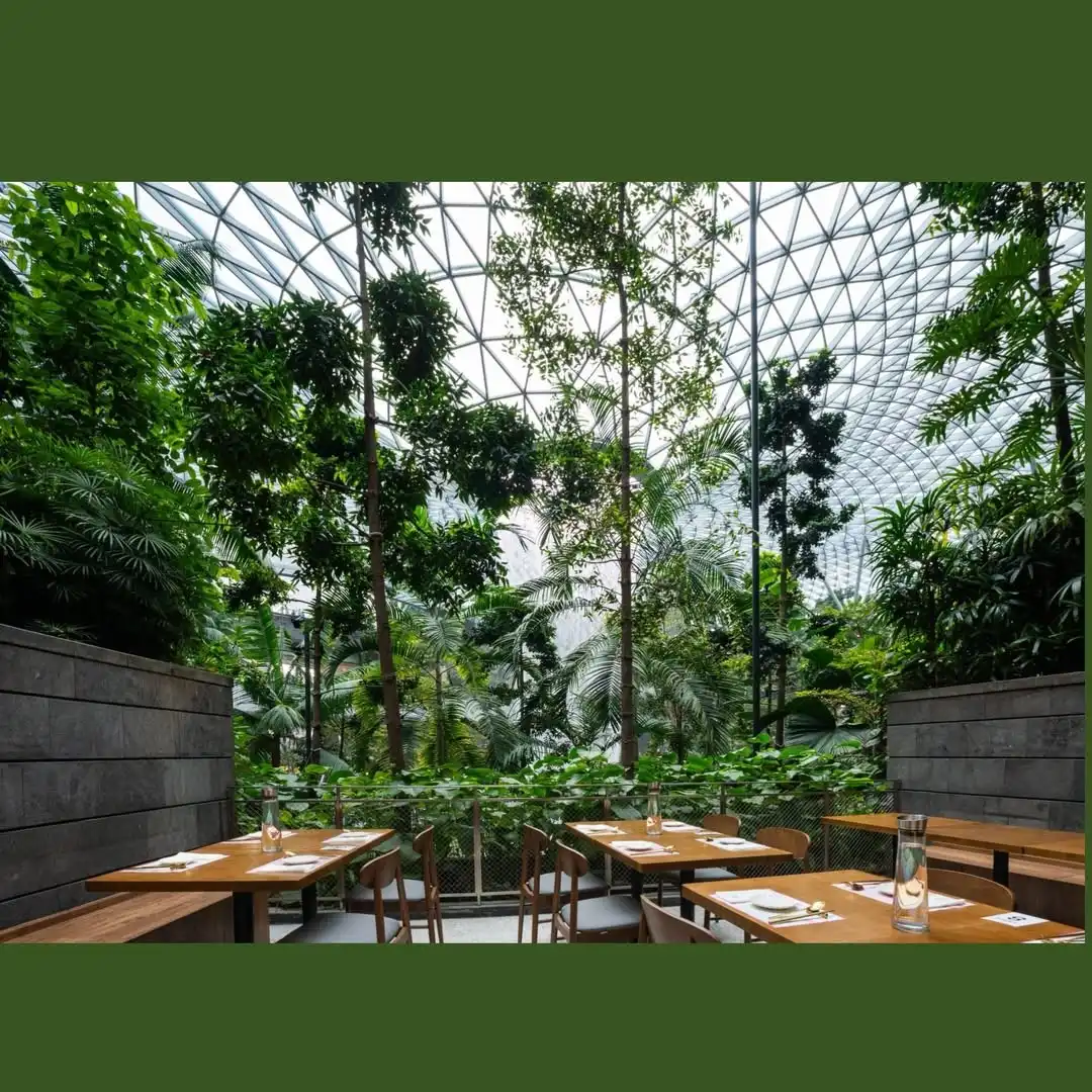 “Gwangjang GAON” Câu chuyện ẩm thực Hàn Quốc khởi nguồn từ Singapore và vươn ra thế giới