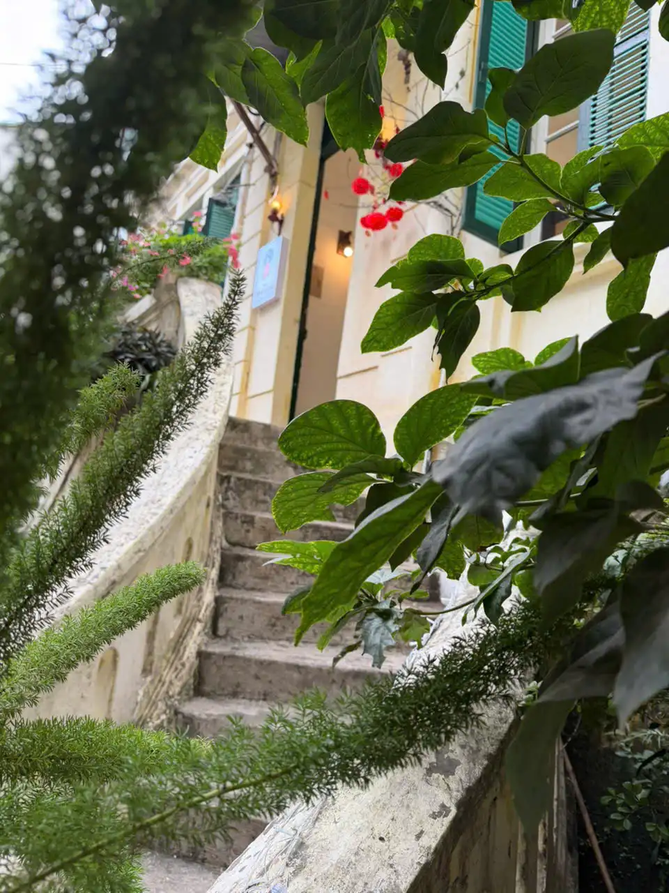 Trải nghiệm áo dài và không gian xuân phố cổ tại The Hanoian – 5 Trần Phú