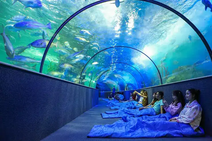 Điểm vui chơi nổi bật cho cả gia đình: Thủy cung Hà Nội và công viên nước Đồng Nai có gì hấp dẫn?