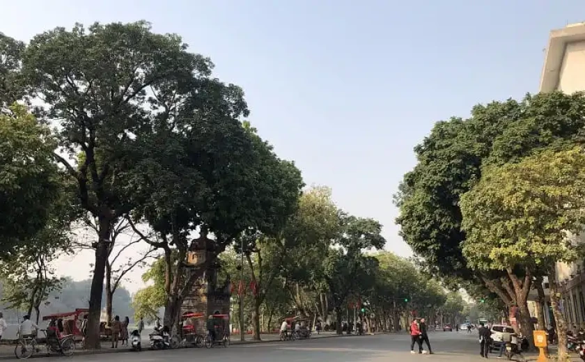 Hà Nội Không Chỉ Để Đi Qua: Chạm Vào Thành Phố Bằng Những Điều Bé Nhỏ