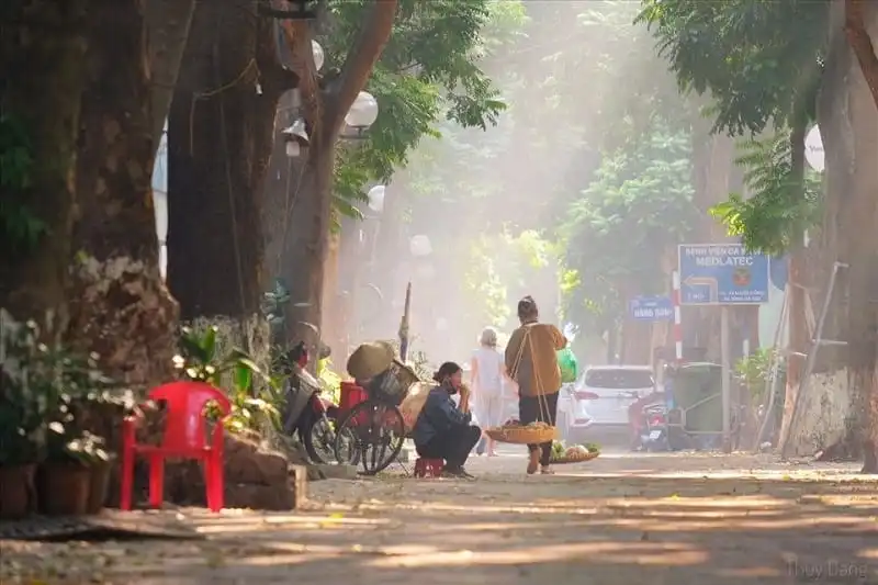 Những nhịp điệu vô thanh của ánh sáng là thứ giúp một thành phố thức giấc