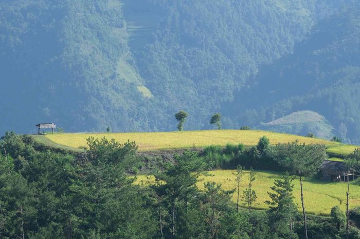 Ngoài ngắm ruộng bậc thang, du khách có thể nghỉ tại homestay trong bản, trải nghiệm ẩm thực địa phương và tìm hiểu đời sống sinh hoạt của người dân. Ảnh: Tuyên Parafu