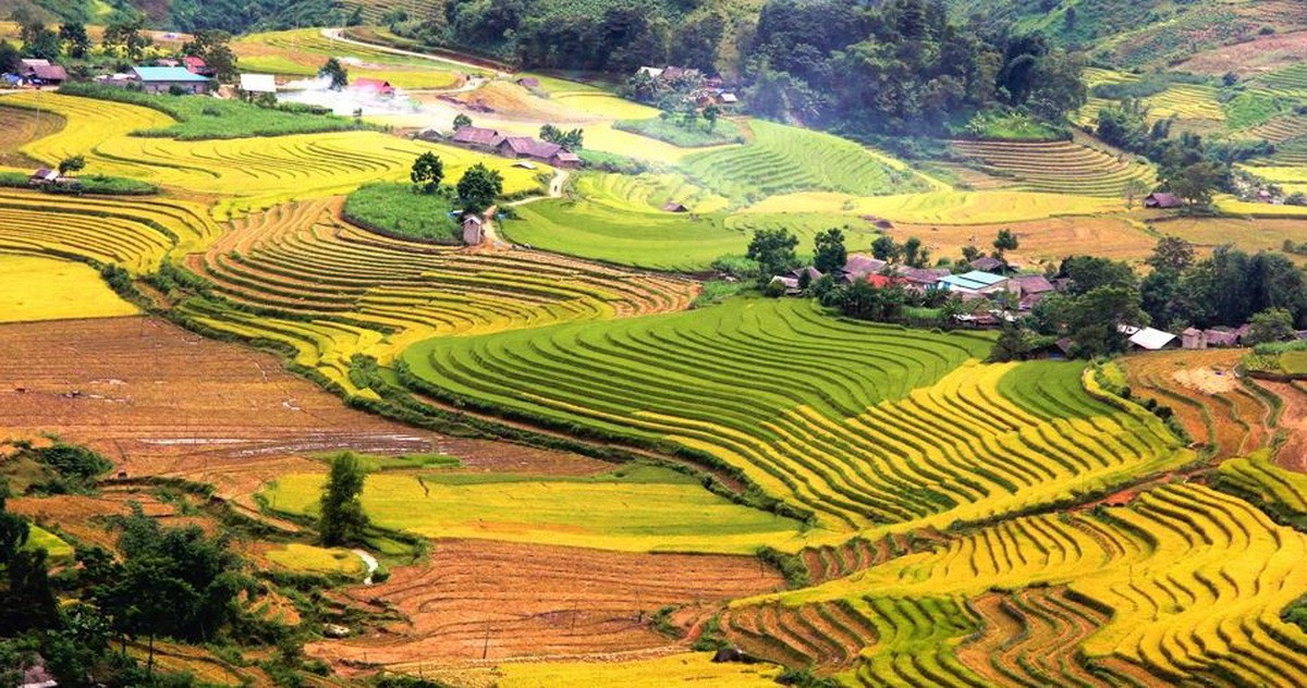 sang-ma-sao.jpg