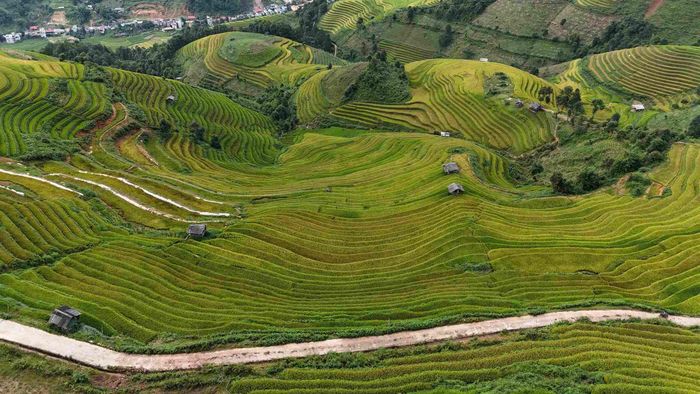 Đường đã được bê-tông hóa nhiều đoạn, xe máy và ô tô nhỏ có thể di chuyển. Ảnh: Tuyên Parafu