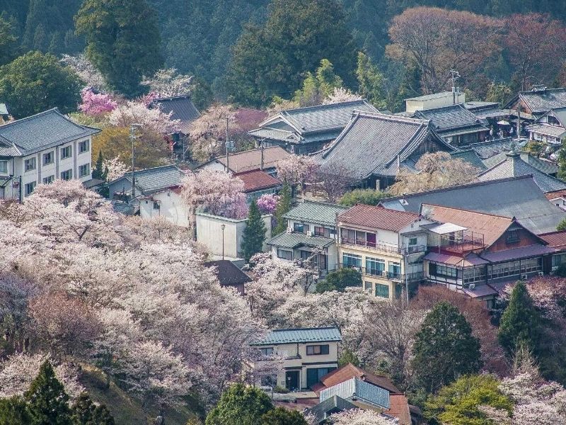 Yoshinoyama ancient village