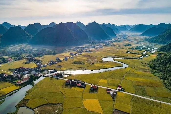 Tháng 7 và tháng 11 hàng năm là thời điểm thung lũng Bắc Sơn bắt đầu vào mùa lúa chín. Nguồn: Thanh Dat