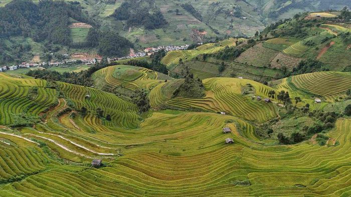 Trong bối cảnh du lịch Mù Cang Chải ngày càng thu hút, Kim Nọi là lựa chọn bổ sung cho hành trình khám phá ruộng bậc thang Yên Bái, bên cạnh các điểm đã quen thuộc như La Pán Tẩn hay đồi “mâm xôi”. Ảnh: Tuyên Parafu