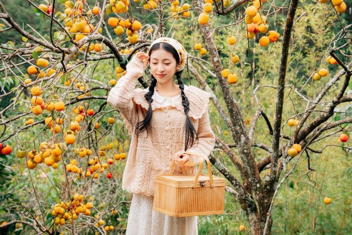 Khi Đà Lạt bước vào những ngày thu se lạnh, khung cảnh thành phố bỗng trở nên thơ mộng hơn bởi sắc cam ngọt ngào của những vườn hồng đang độ chín rộ. Ảnh Đồng Ngô