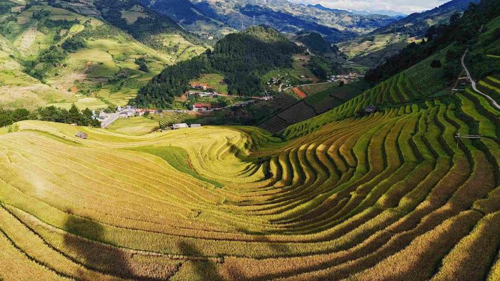So với các điểm nổi tiếng như La Pán Tẩn hay đồi Mâm Xôi, Háng Đăng Dê vẫn còn khá hoang sơ. Ảnh: Tuyên Parafu