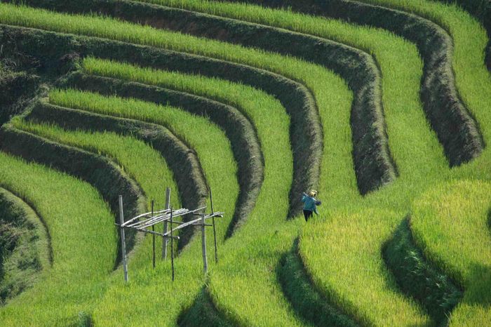 Thời điểm này, Kim Nọi chưa quá đông khách như các điểm nổi tiếng lân cận, tạo điều kiện cho du khách tham quan. Ảnh: Tuyên Parafu
