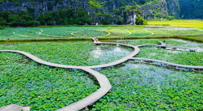 Mùa sen về càng khiến cho non nước Ninh Bình trở nên tươi đẹp. Ảnh: Vương Lộc