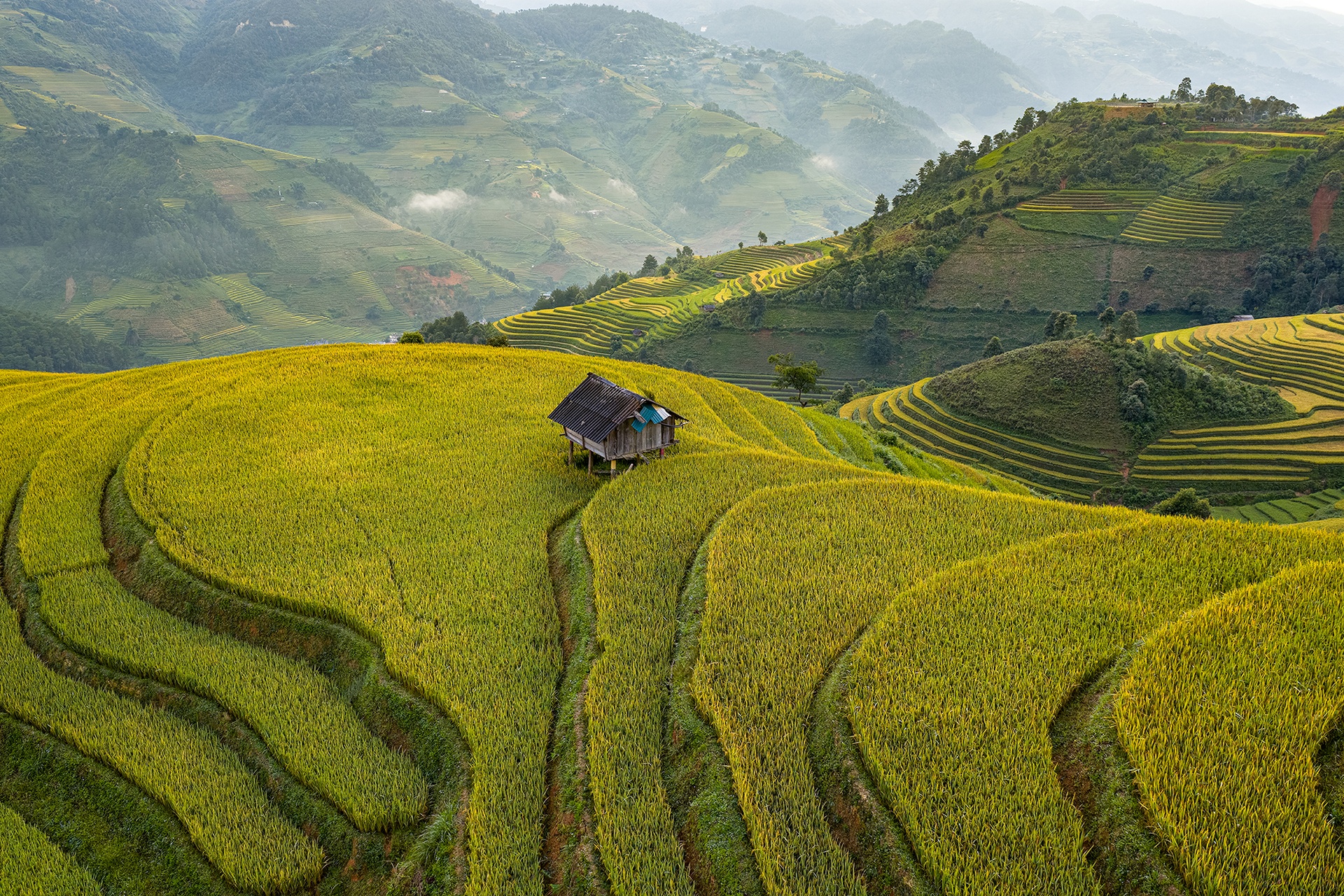 mu cang chai anh 5
