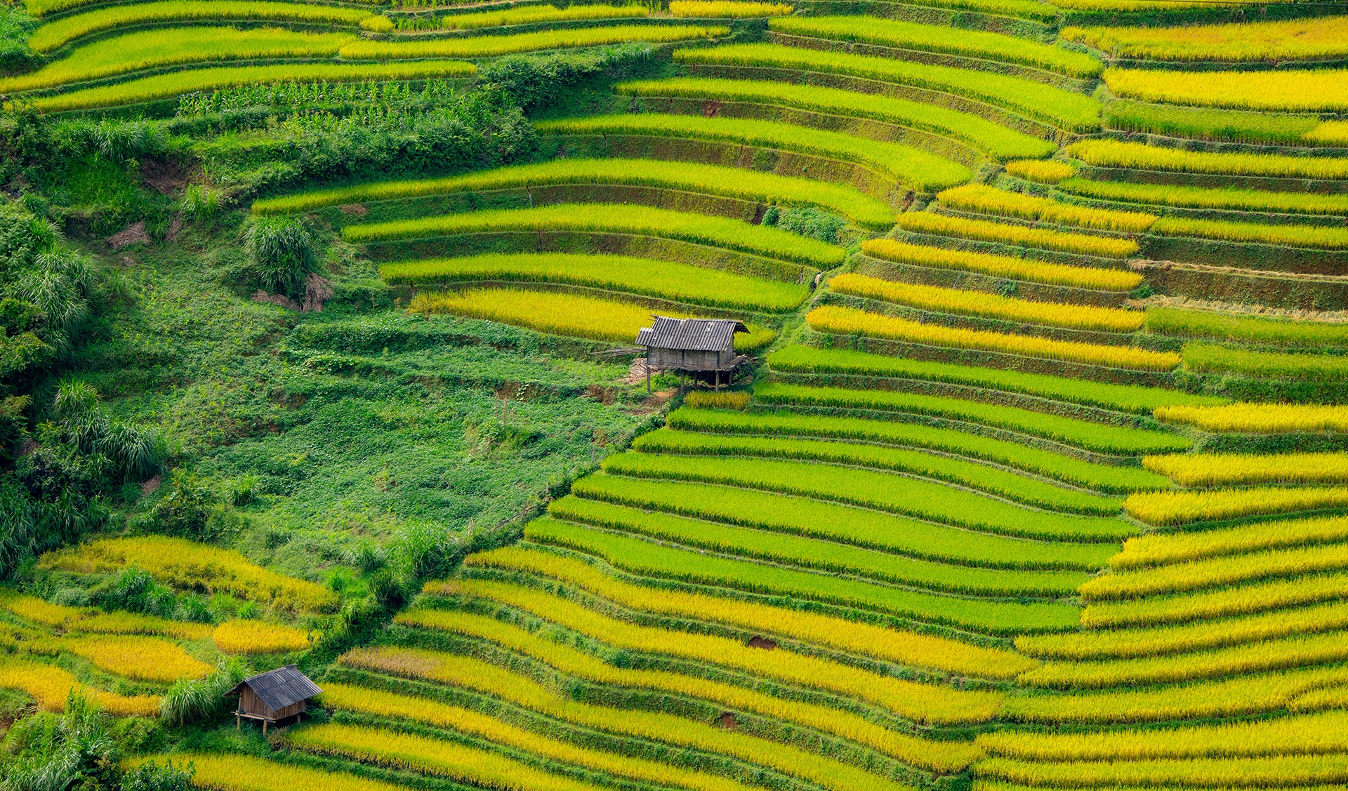 mu cang chai anh 17