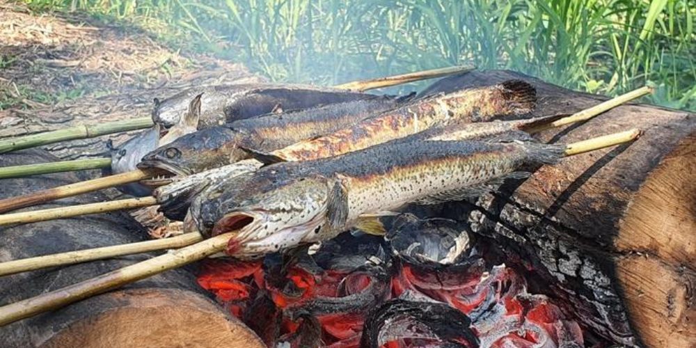 Cá lóc nướng trui vàng giòn, đậm chất miền quê – ăn kèm bánh tráng và rau sống là chuẩn vị