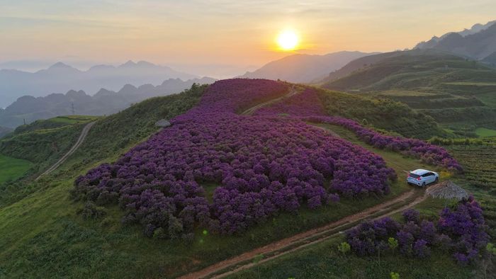 Nơi đây cách trung tâm Mộc Châu khoảng 25 km, nằm ở độ cao khoảng 900 m so với mực nước biển, khí hậu quanh năm mát mẻ. Ảnh: Bảo Ân