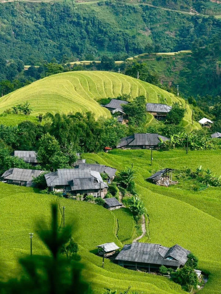 Những ngôi nhà sàn thấp thoáng trên những thửa ruộng bậc thang tuyệt đẹp ở Hoàng Su Phì.