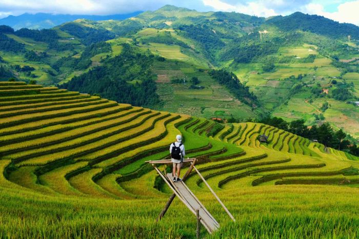 Hệ thống ruộng bậc thang gắn liền với canh tác của người dân địa phương, vừa là sản phẩm nông nghiệp, vừa là di sản văn hóa đặc sắc. Ảnh: Tuyên Parafu