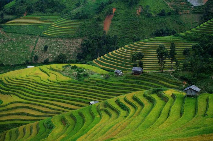 Từ trung tâm thị trấn Mù Cang Chải (cũ), du khách đi khoảng 8 km là đến Kim Nọi. Ảnh: Tuyên Parafu