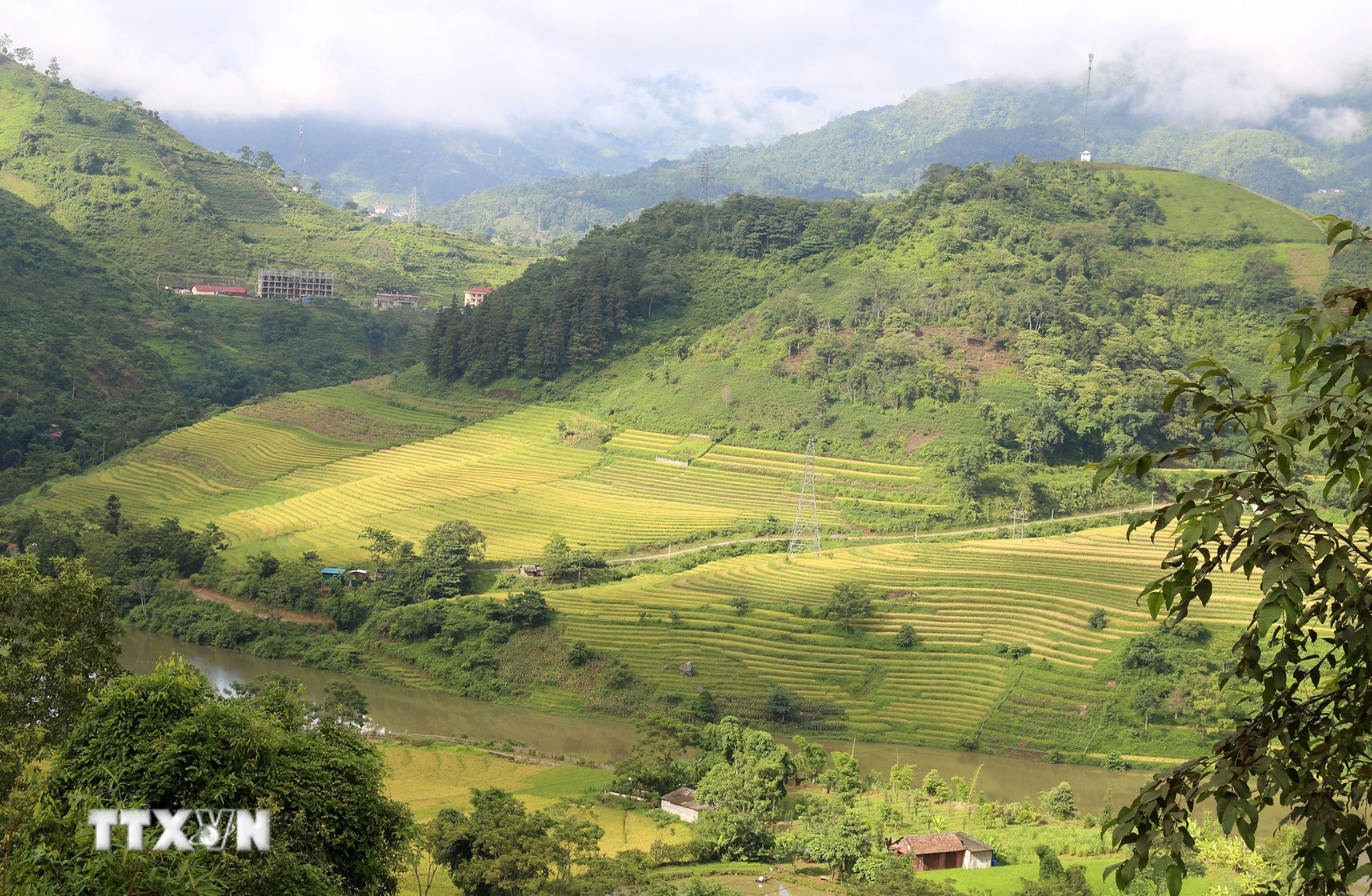 ttxvn-lao-cai-bat-xat-mua-vang-ruong-bac-thang-17092025.jpg
