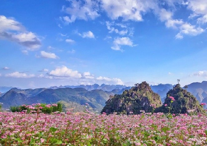 Mùa Đông ở miền Bắc Hà Nội đã trở nên se se lạnh, đây là thời điểm tốt để du khách có thể tận hưởng trọn vẹn bầu không khí những ngày cuối năm mát mẻ. Hãy cùng Sakos tìm hiểu những địa điểm hấp dẫn sau đây nhé!!