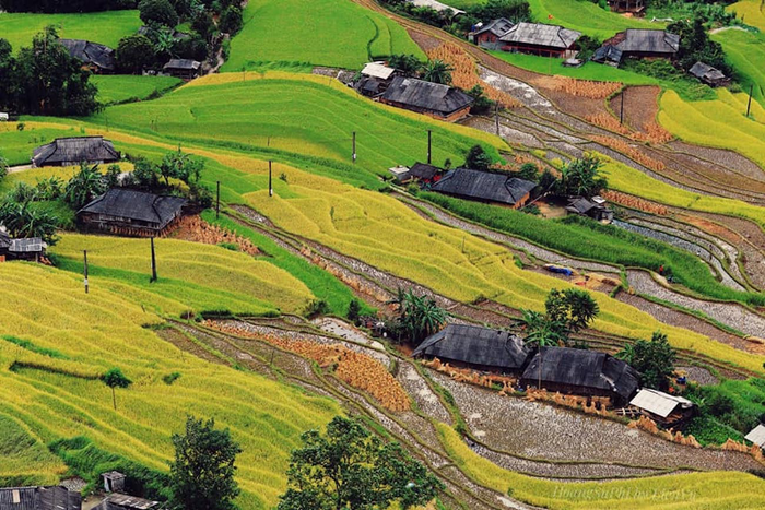 Bản Phùng, Tuyên Quang trong mùa lúa chín đẹp đến nao lòng.