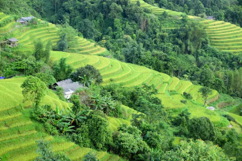 Bản Phùng, Tuyên Quang.